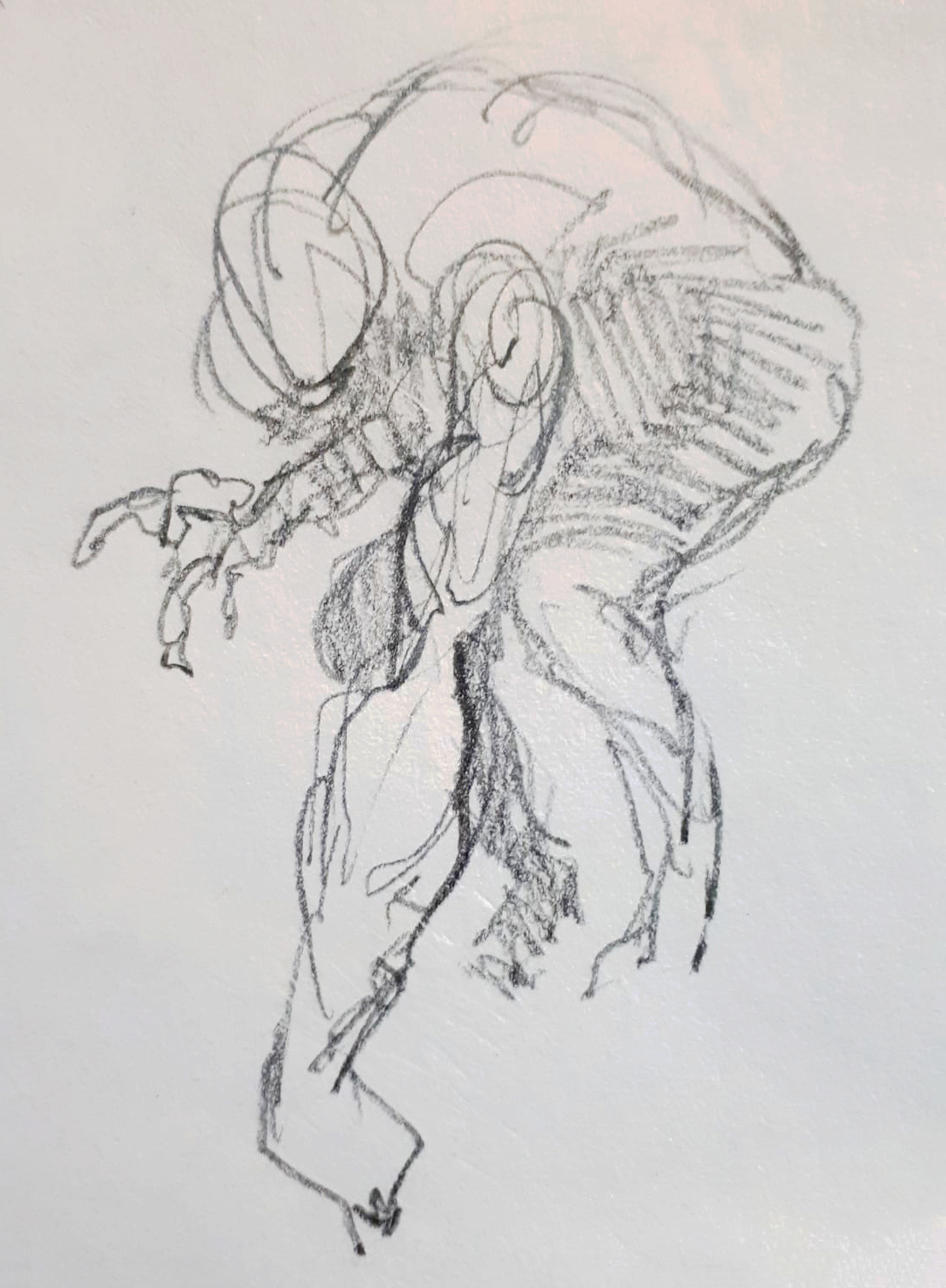 Cover Sketch #1