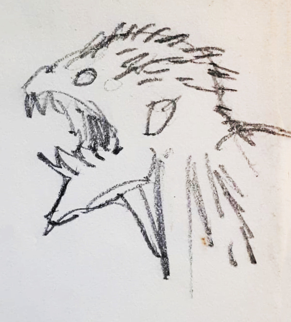 Cover Sketch #5